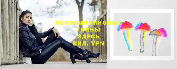 амф Алексеевка