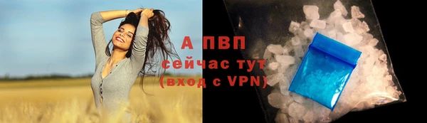 амф Алексеевка