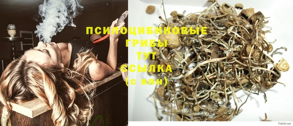 амф Алексеевка
