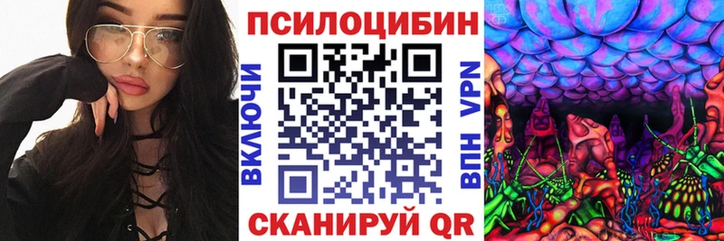 Псилоцибиновые грибы ЛСД  закладки  KRAKEN зеркало  Киреевск 