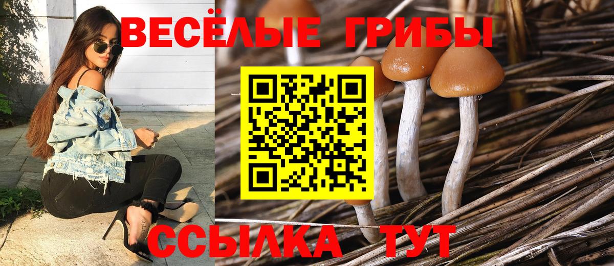 Киреевск  Галлюциногенные грибы GOLDEN TEACHER  Вход с VPN 